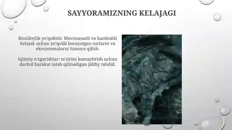 Ekalogiya omillar va muhit 4
