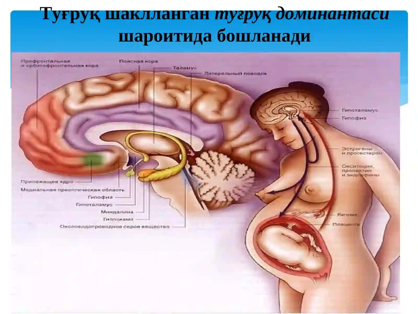Чакалоклар асфиксияси 4