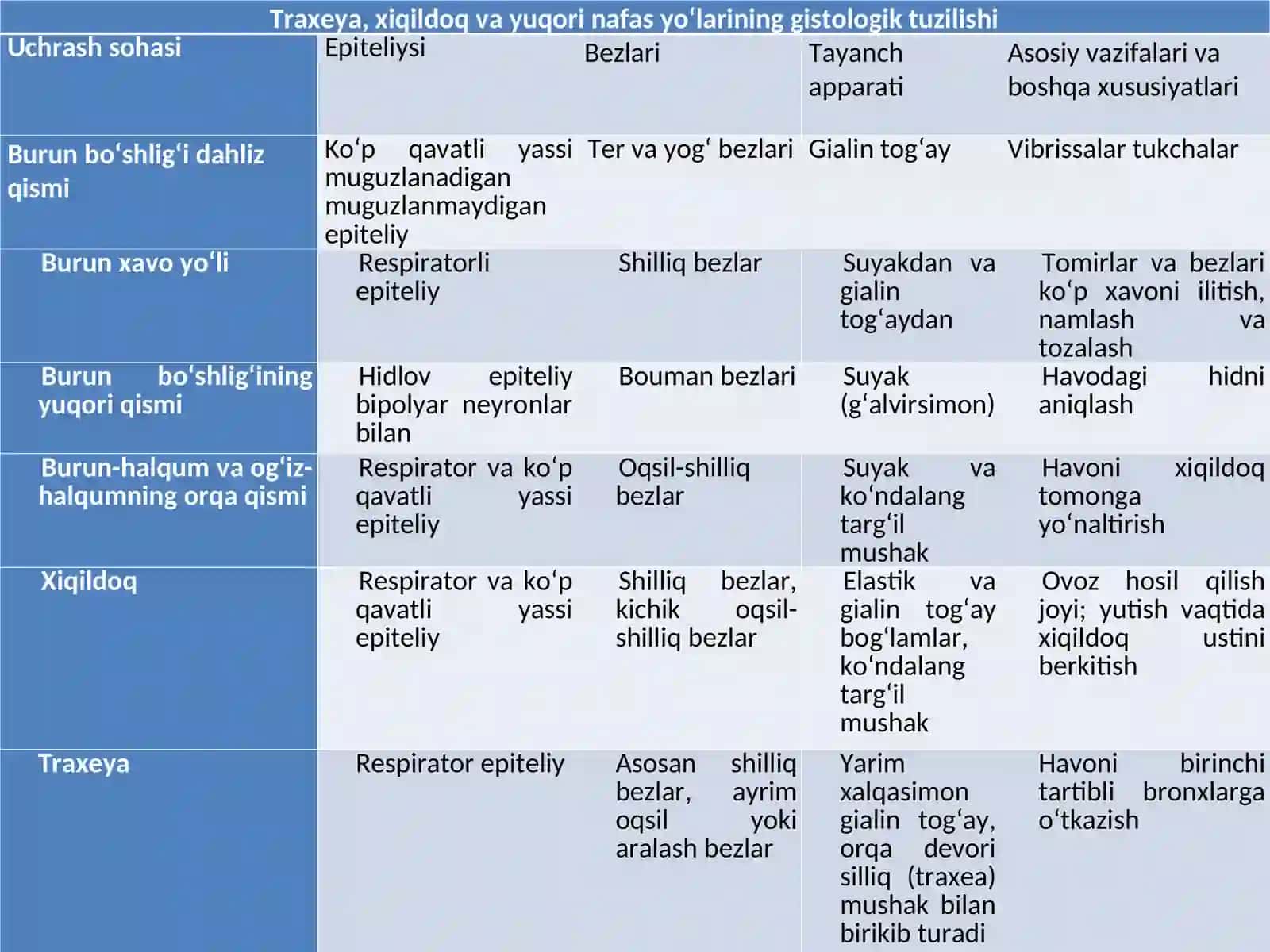 Nafas yo‘llarining asosiy qismlari 4