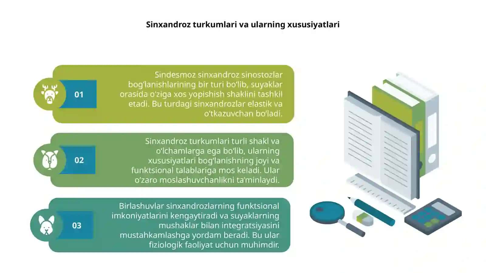 Sindesmoz sinxandroz sinostoz birlashuvlar 4