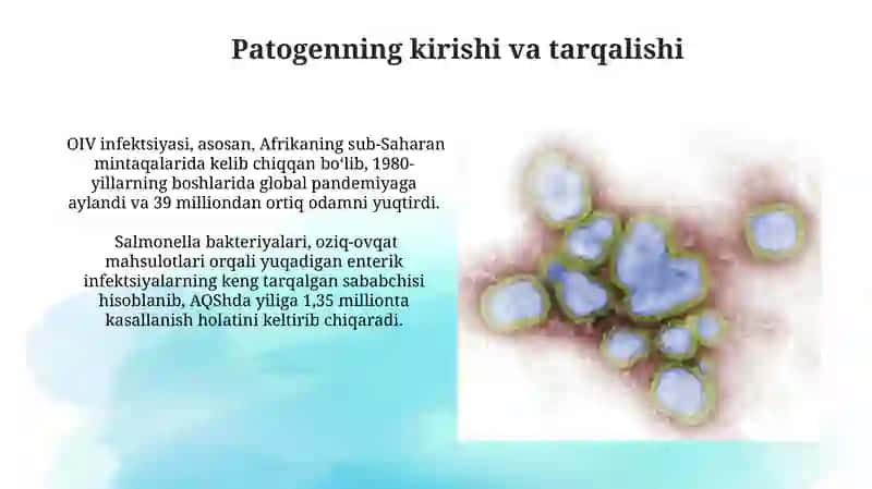 Qo'ziqorin infektsiyalar patogenezi 4