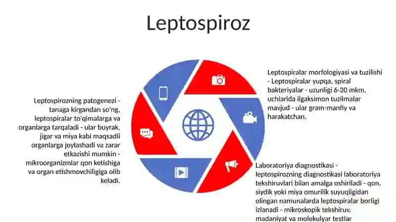 Gemorragik Isitma Qo'Zg'Atuvchilari Patogenezi, Labaratoriya Tashxisi 4