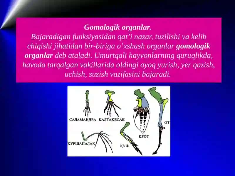 Aitrpogenezningpaleontoloqikfandalillari 4