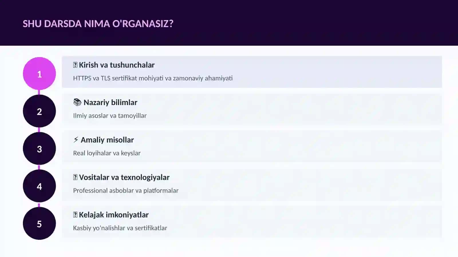 HTTPS va TLS sertifikat 4