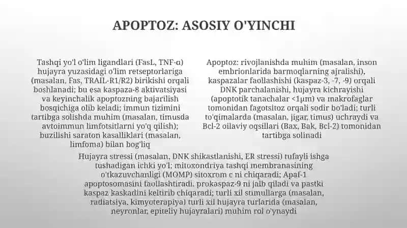 Apoptoz 4