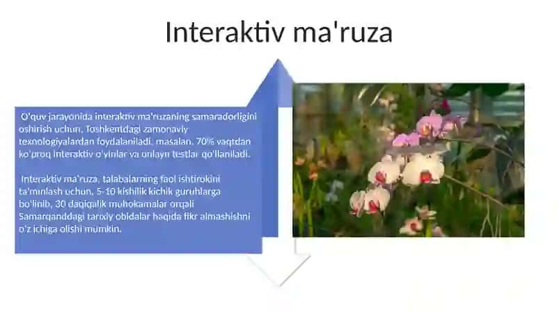 Ma’ruza turlari va uning tasnifi 4