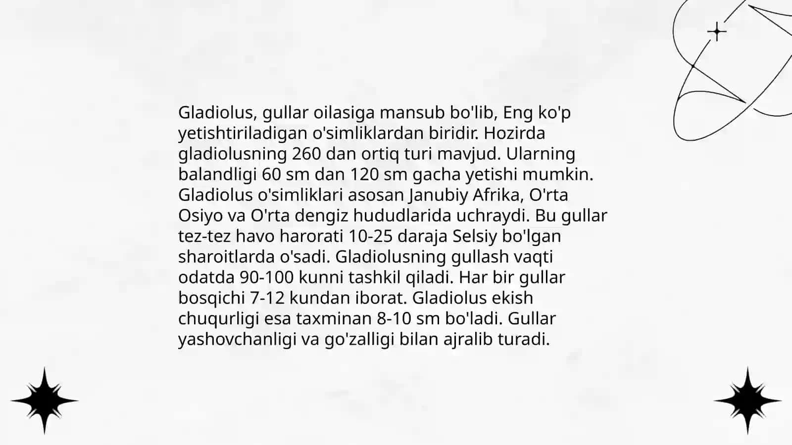 Agava 4