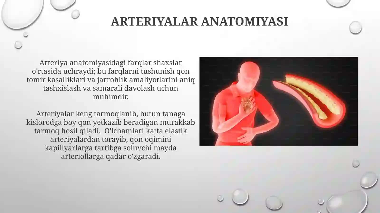 Arteriologiya 4