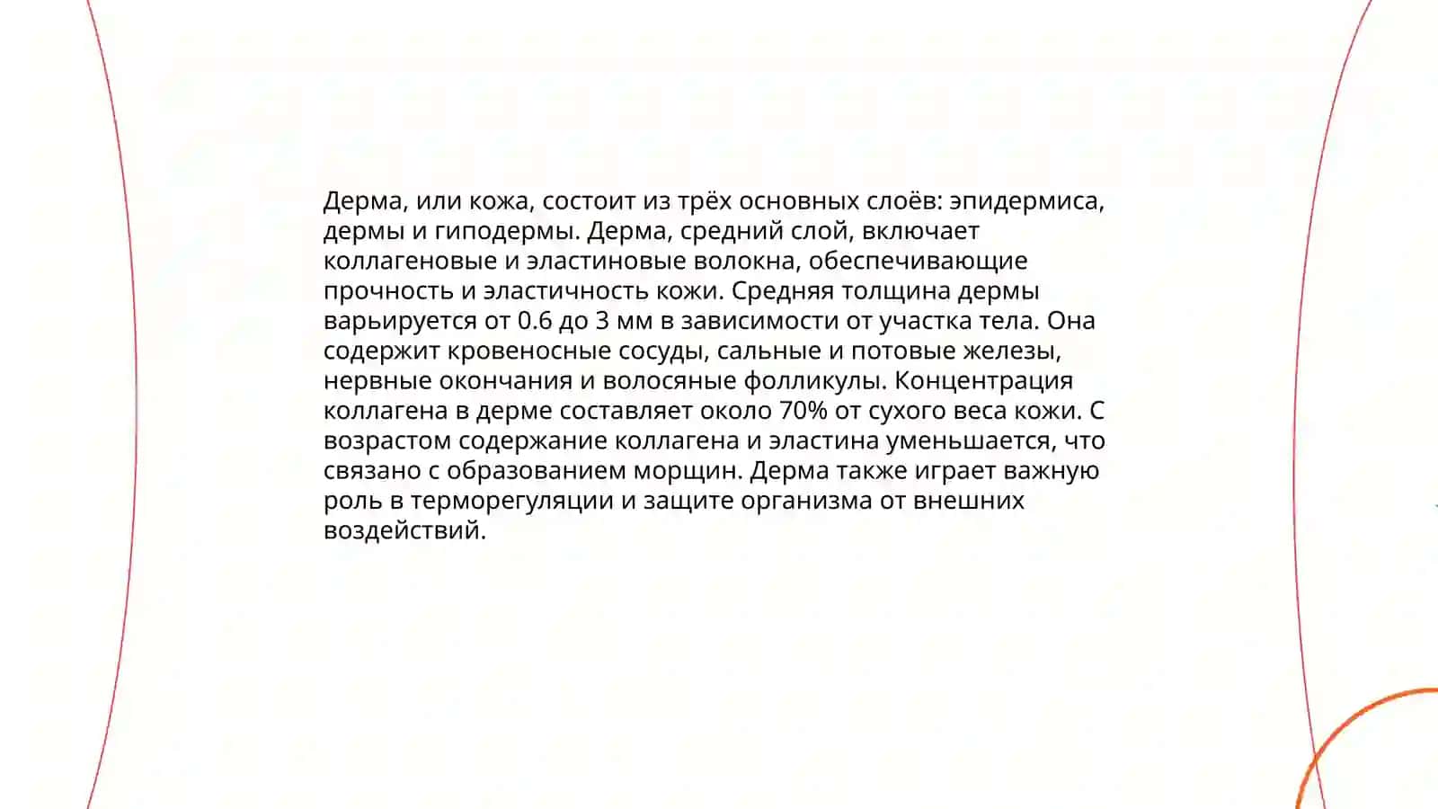 Строение и состав кожи 4