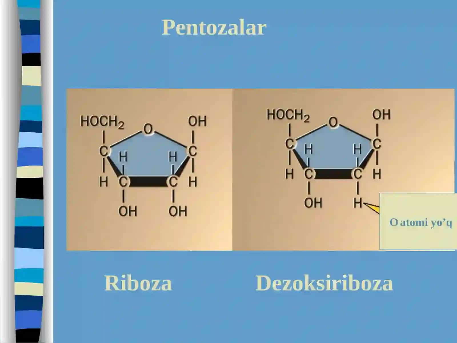 Uglevodlar 4