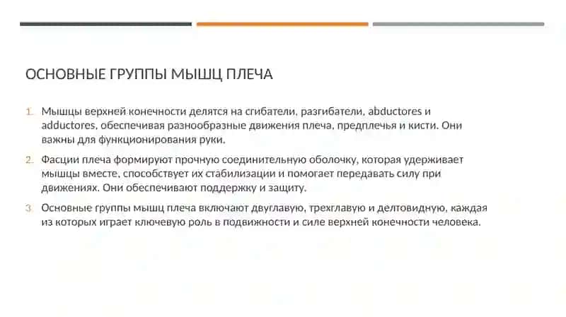 Мышцы и Фасции ВерхнейКонечности 4
