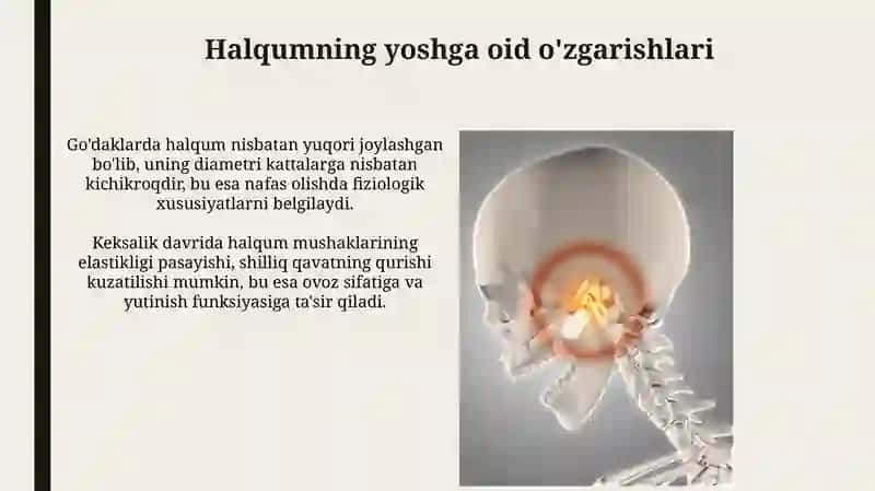 Ovoz hosil bo'lishi 4