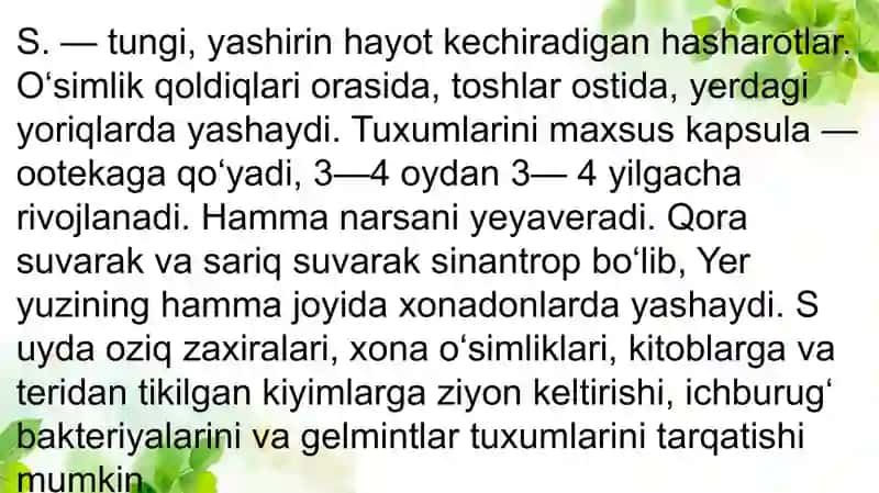 Suvaraklar va Beshiktebratarlar Turkumi 4