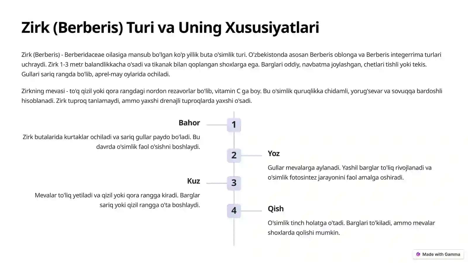 Zirk, Chakanda, Irgay 4