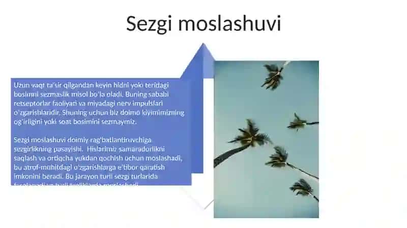 Idrok va Sezgi 4