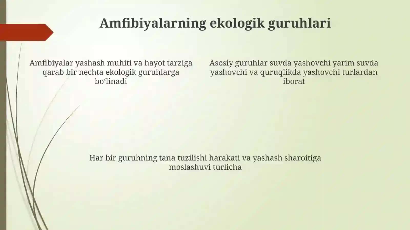 Amfibiyalarning asosiy ekologik guruhlari 4