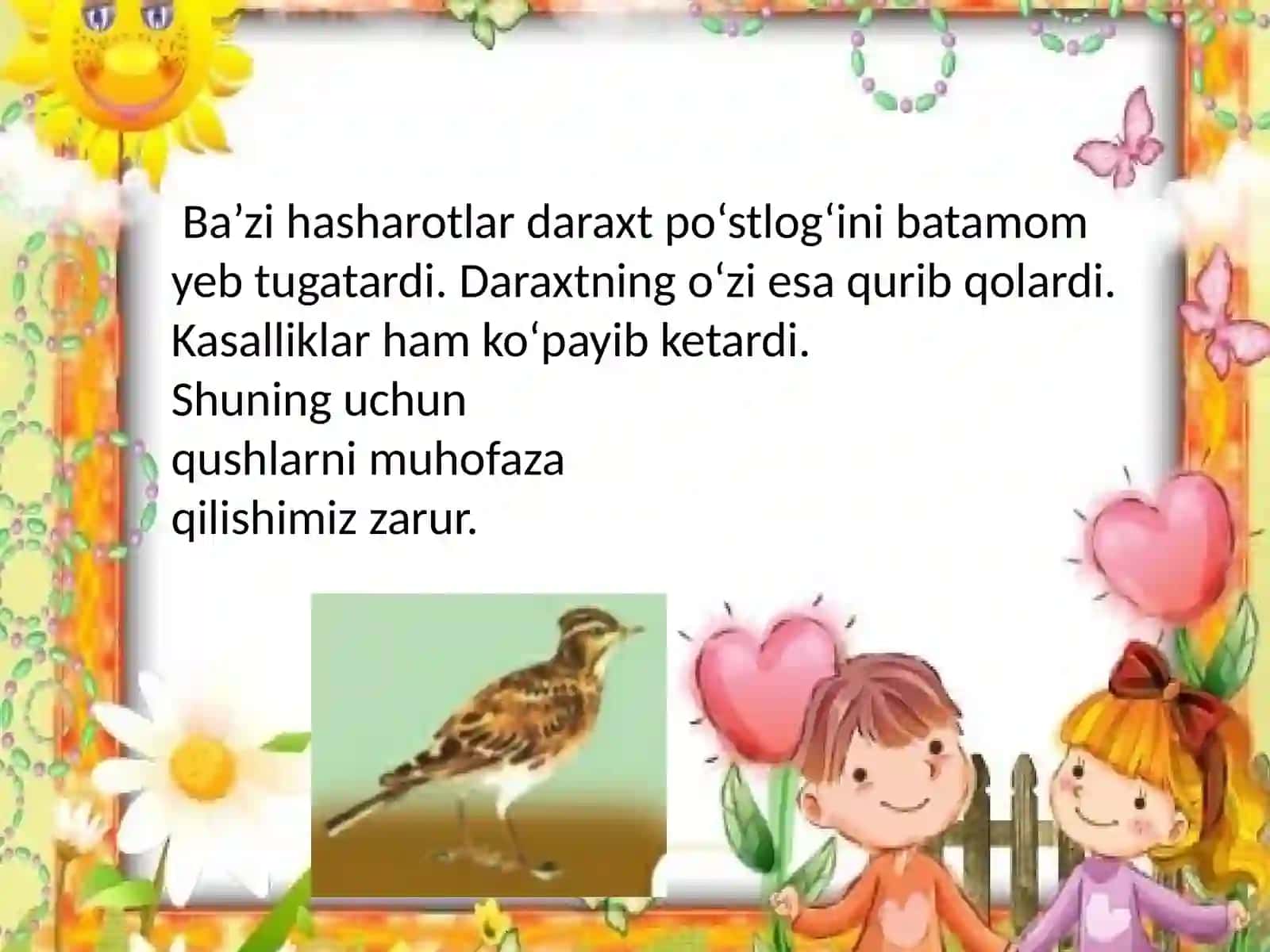 QUSHLAR VA UY PARRANDALARI 4