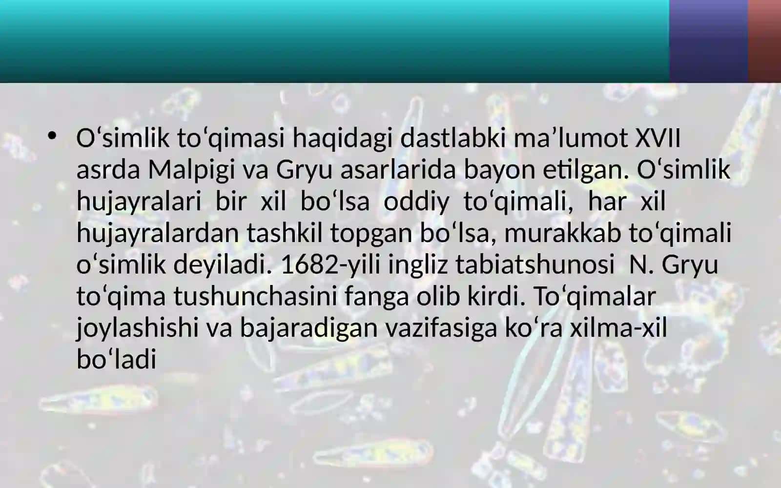 5-sinf Botanika O'simlik to'qimalari 4