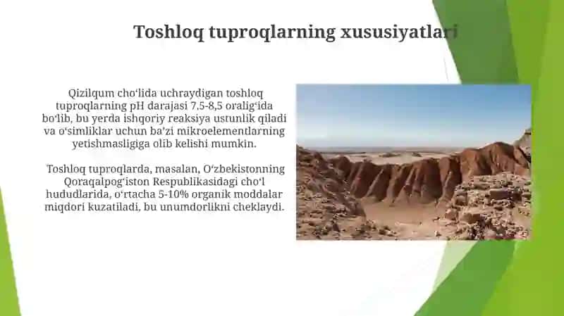 Cho'l tuproqlarining asosiy turlari 4
