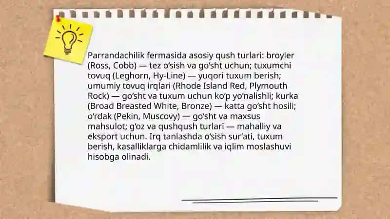 Parrandachilik fermasi 4