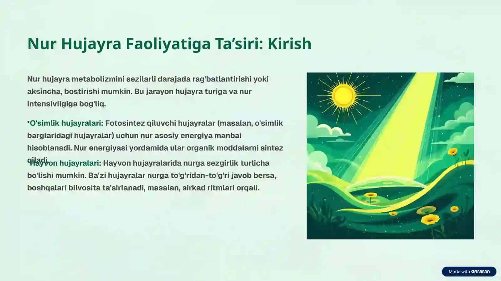 Hujayraning Hayot Sikli va Nurningta'siri 4