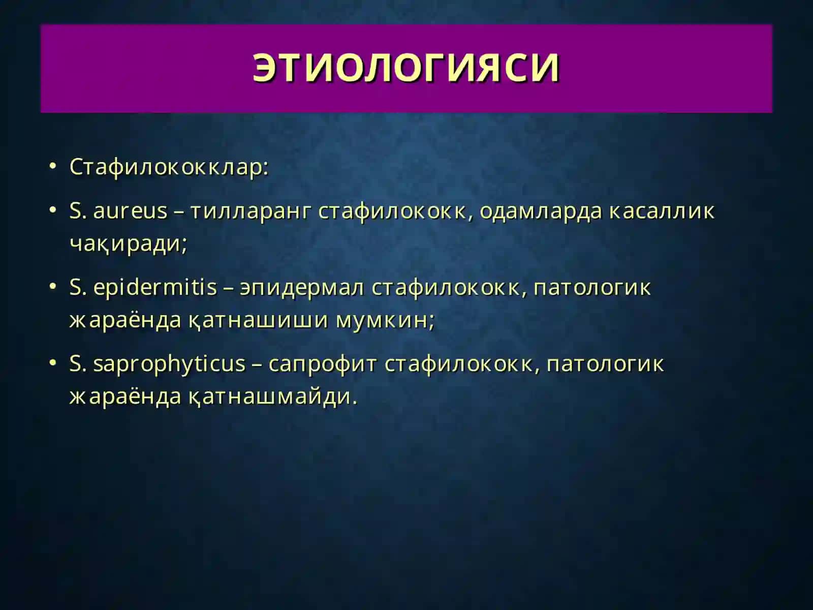 ТЕРИНИНГ ЙИРИНГЛИ КАСАЛЛИКЛАРИ-ПИОДЕРМИТЛАР 4