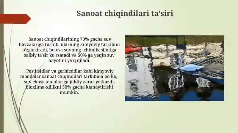 Suv resurslarini ifloslanish muammolari 4