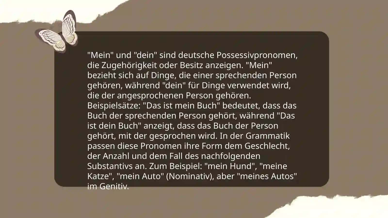 Einführung in Possessivartikel 4