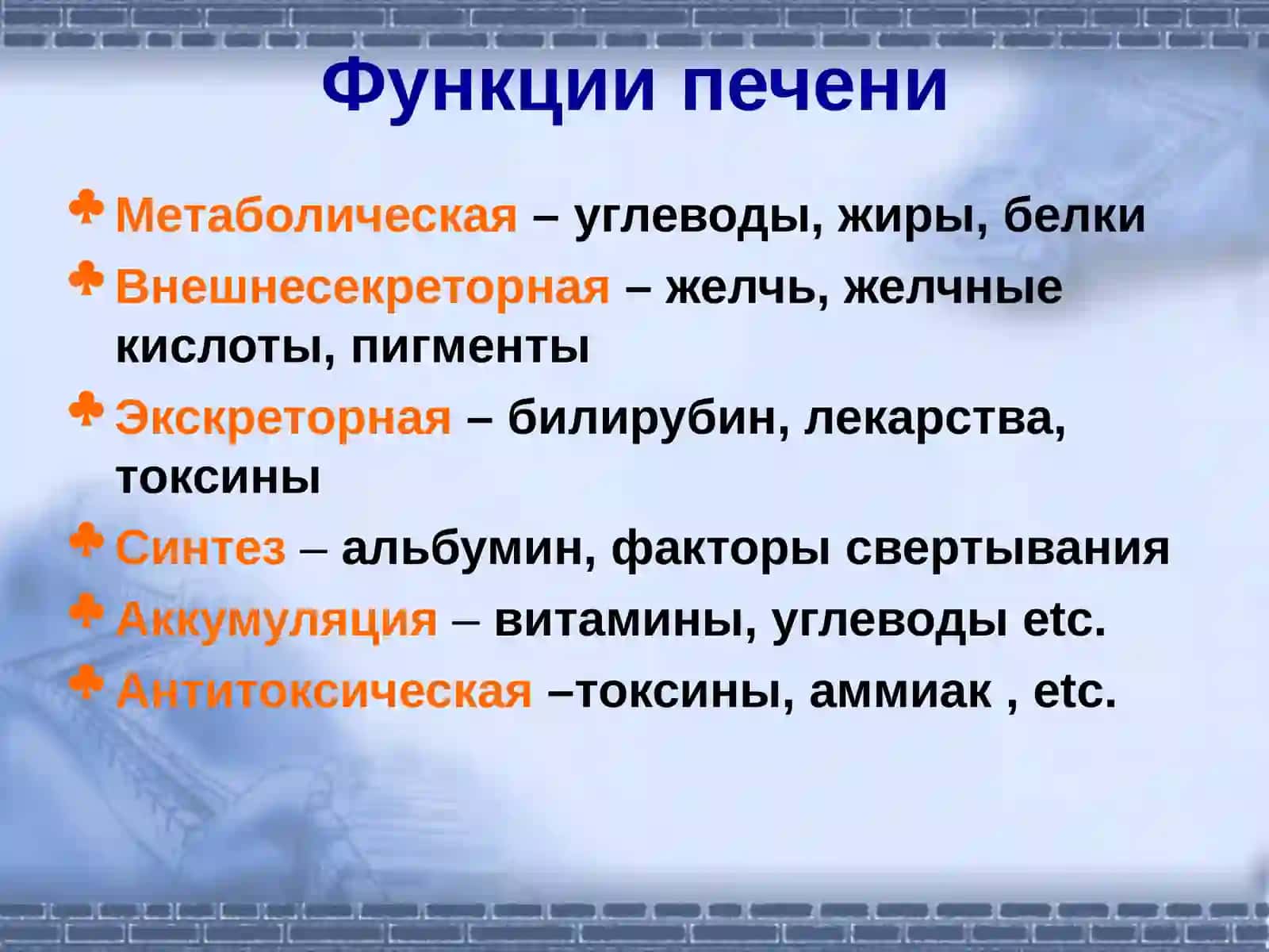 Патофизиология печени 4