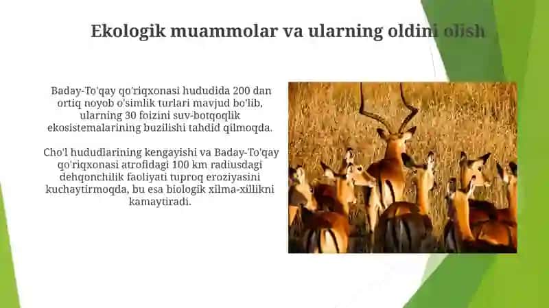 Baday-To'qay qo'riqxonasi 4
