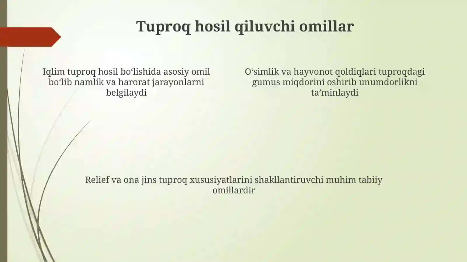 Tuproqlarning tarqalish qonuniyatlari 4