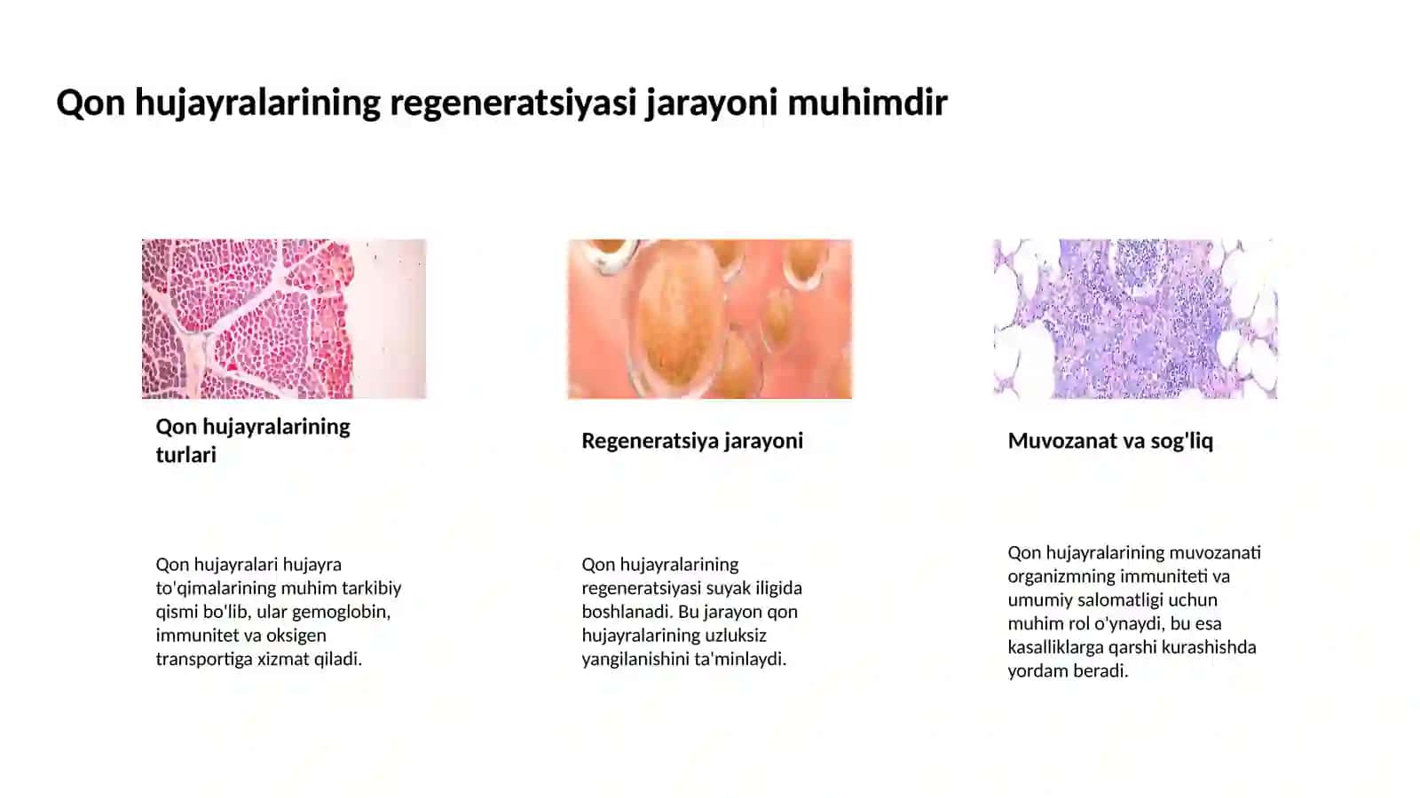 Qon hujayralarining fiziologik va reparativ regeneratsiyasi 4