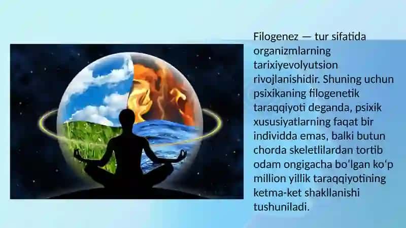 Psixikaning filogenetik taraqqiyoti 4