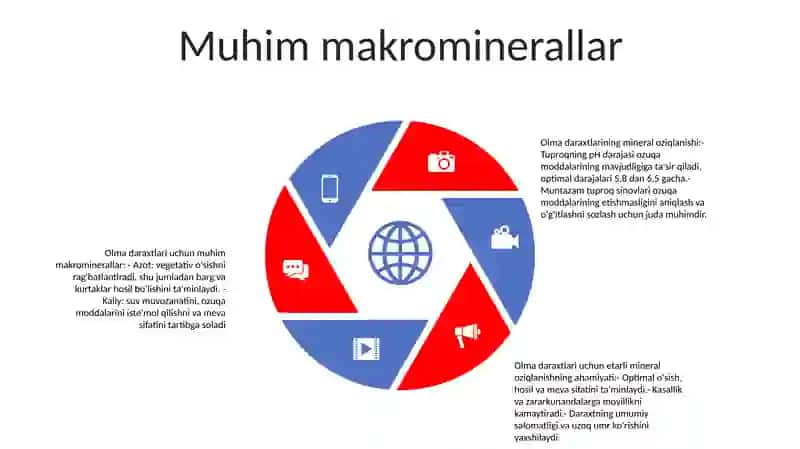 Mevali Daraxtlarning Mineral Oziqlanishi 4