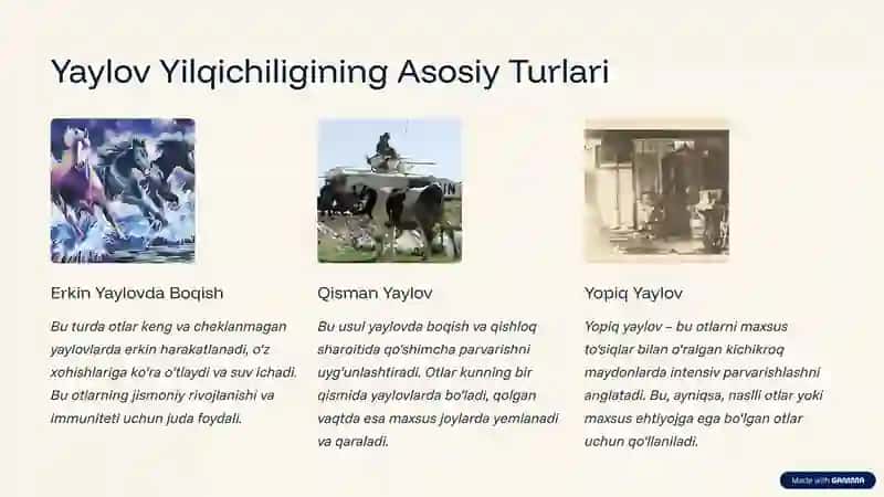 Yaylov Yilqichiligi Haqida Tushuncha 4