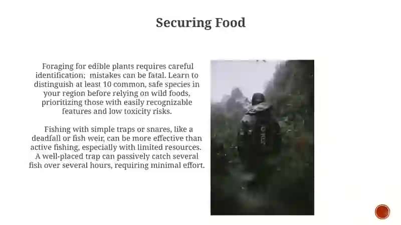 Survival guide 4