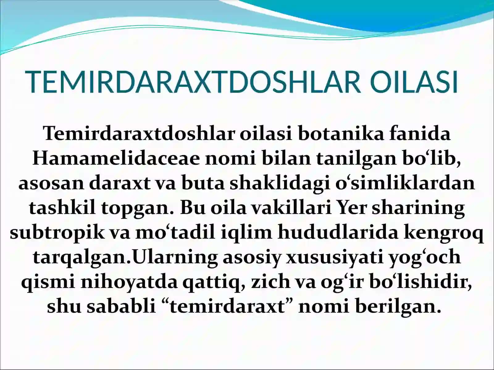 Temirdaraxtdoshlar oilasi 4