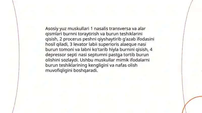 Tashqi burun 4