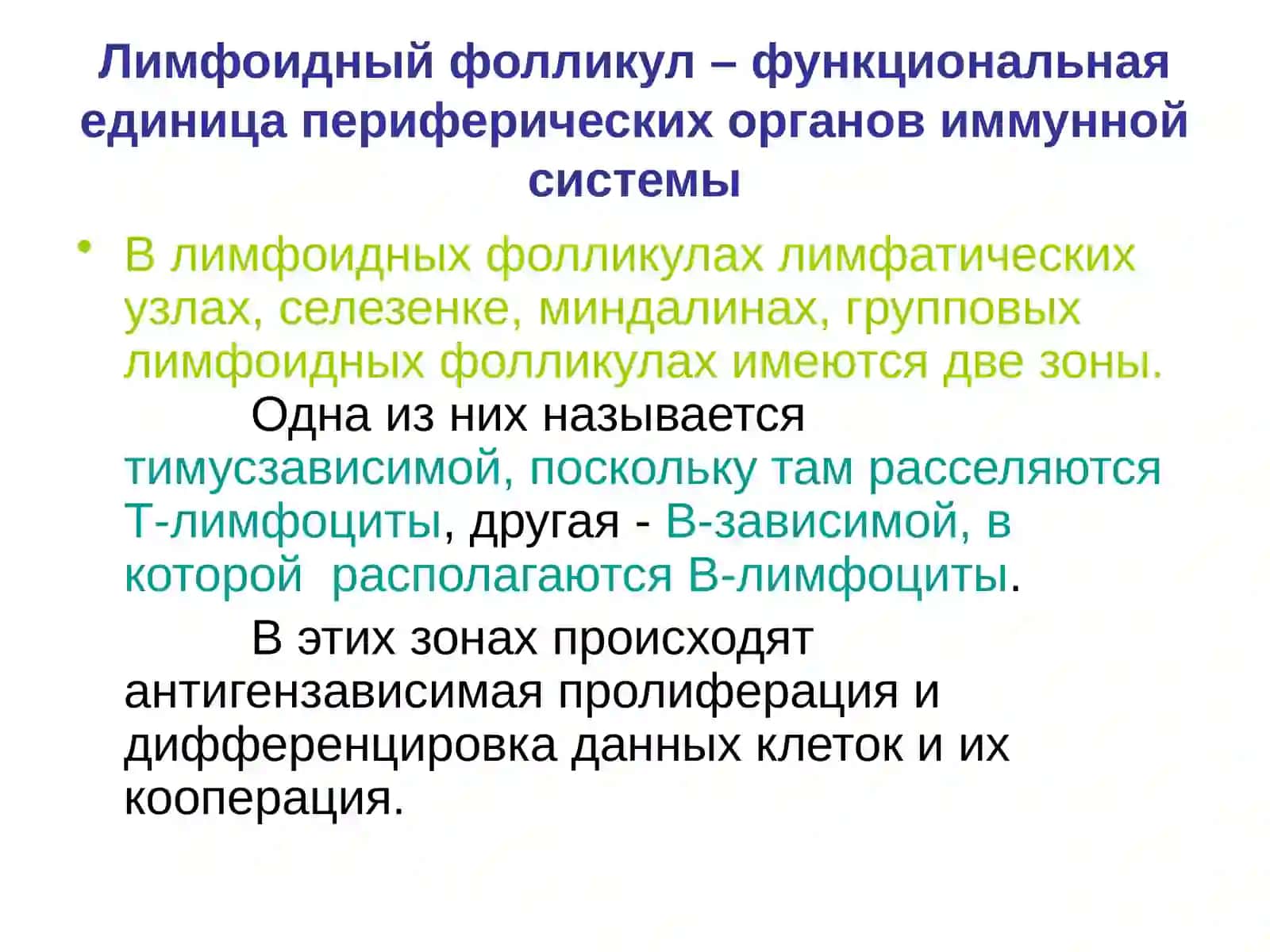 Иммунопатология.Амилоидоз 4