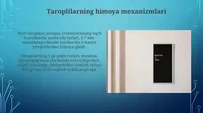 Taroplilar tipi xususiyatlari 4