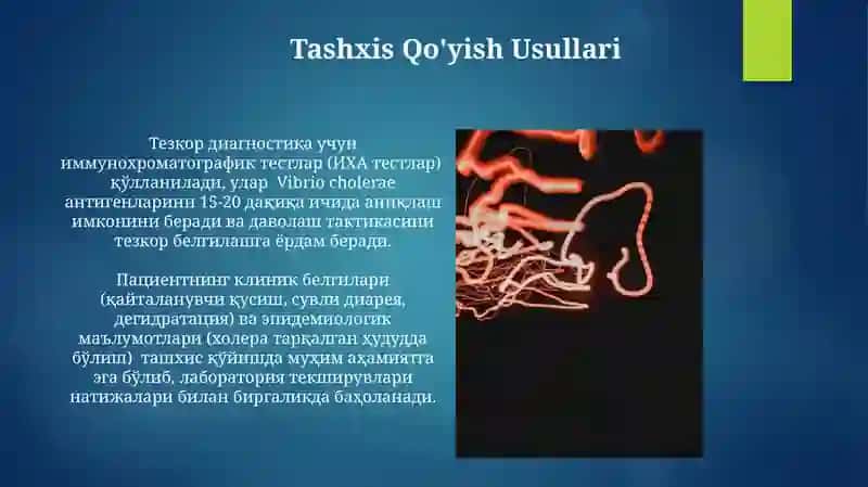 Ichak infeksiya qoʻzgʻatuvchilari. Vabo Komilov Asadbek 4