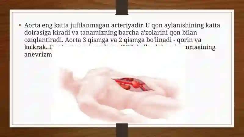 Aortavaaortaanevrizmasi 4