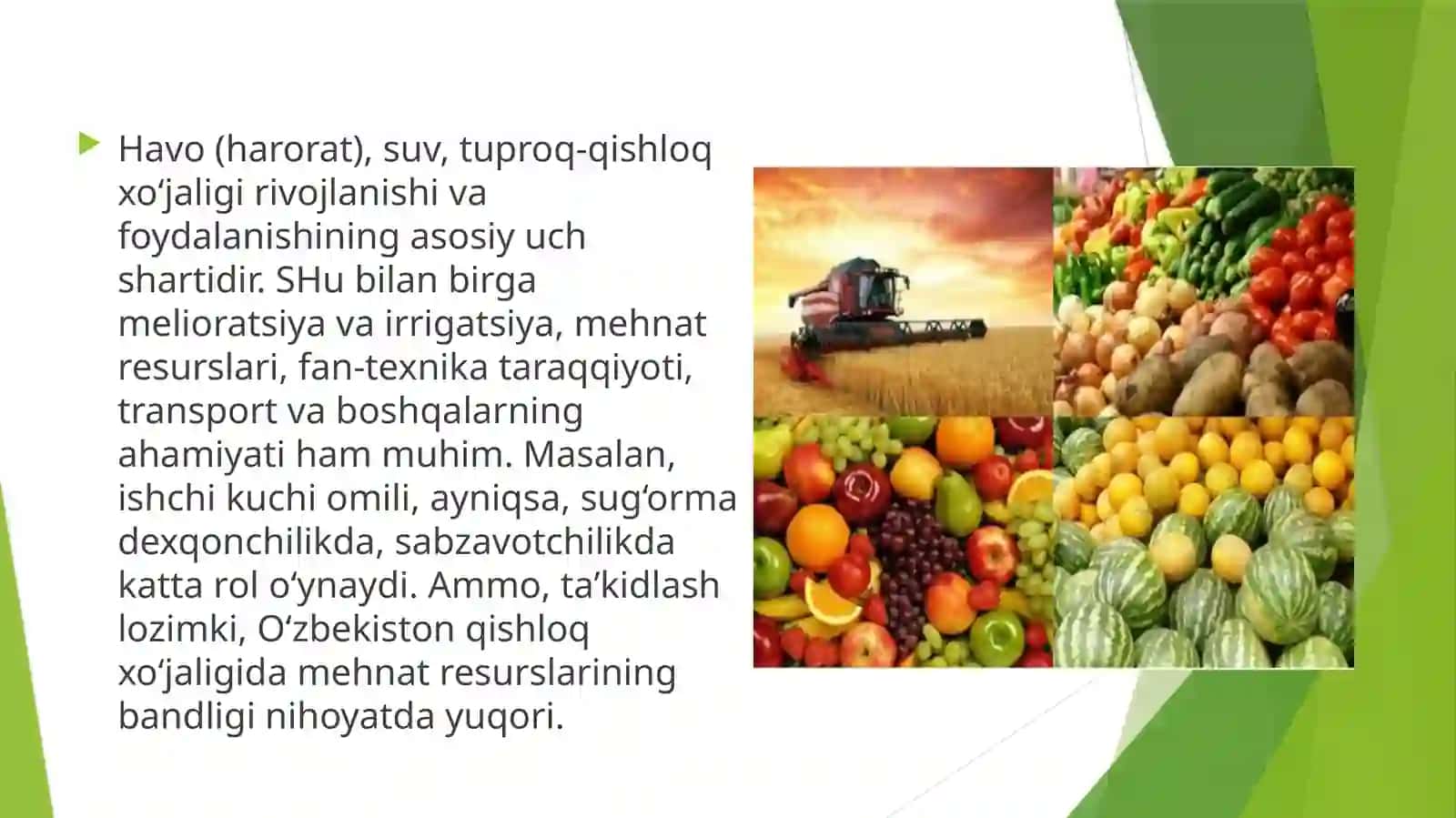QISHLOQ XO‘JALIGI TARMOQLARINING JOYLANISHI 4