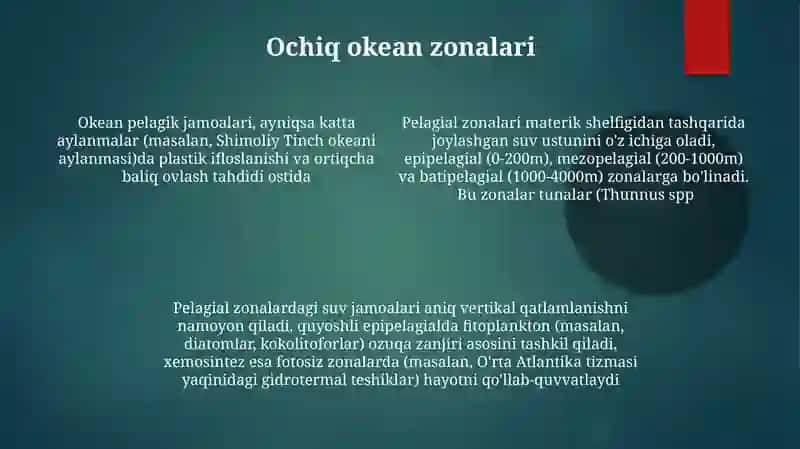 Chuchuk suvdagi organizmlar jamoalari 4