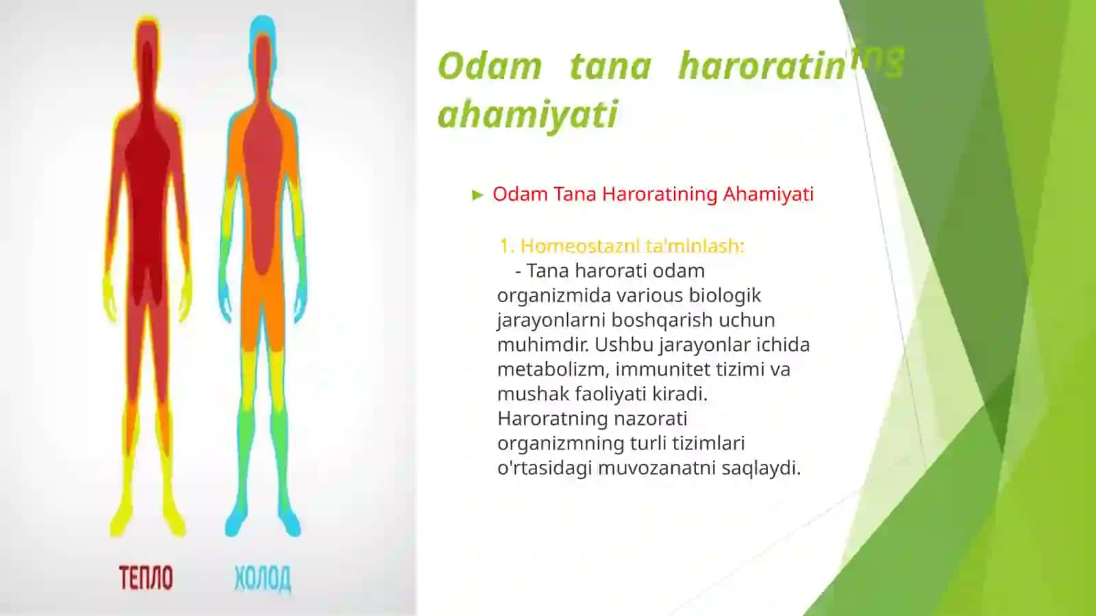 Odam tana haroratini o’lchovchi termometrlar 4