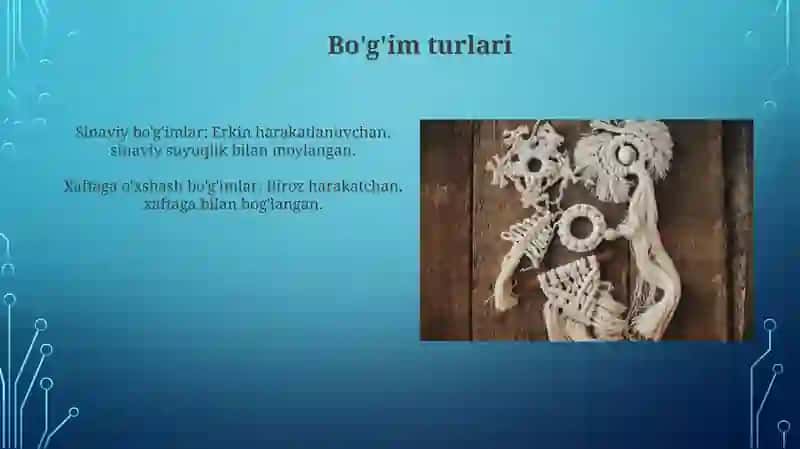 Suyaklar va ularning birikishi 4