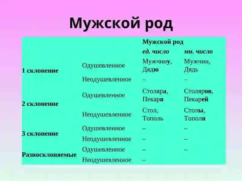 Винительный падеж 4