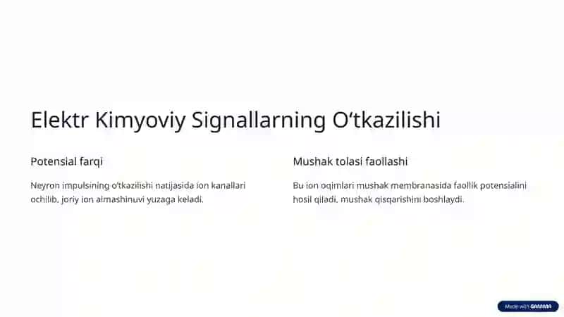 Nerv-Mushak Urchuqlarining Tuzilishi va Ishlash Printsipi 4