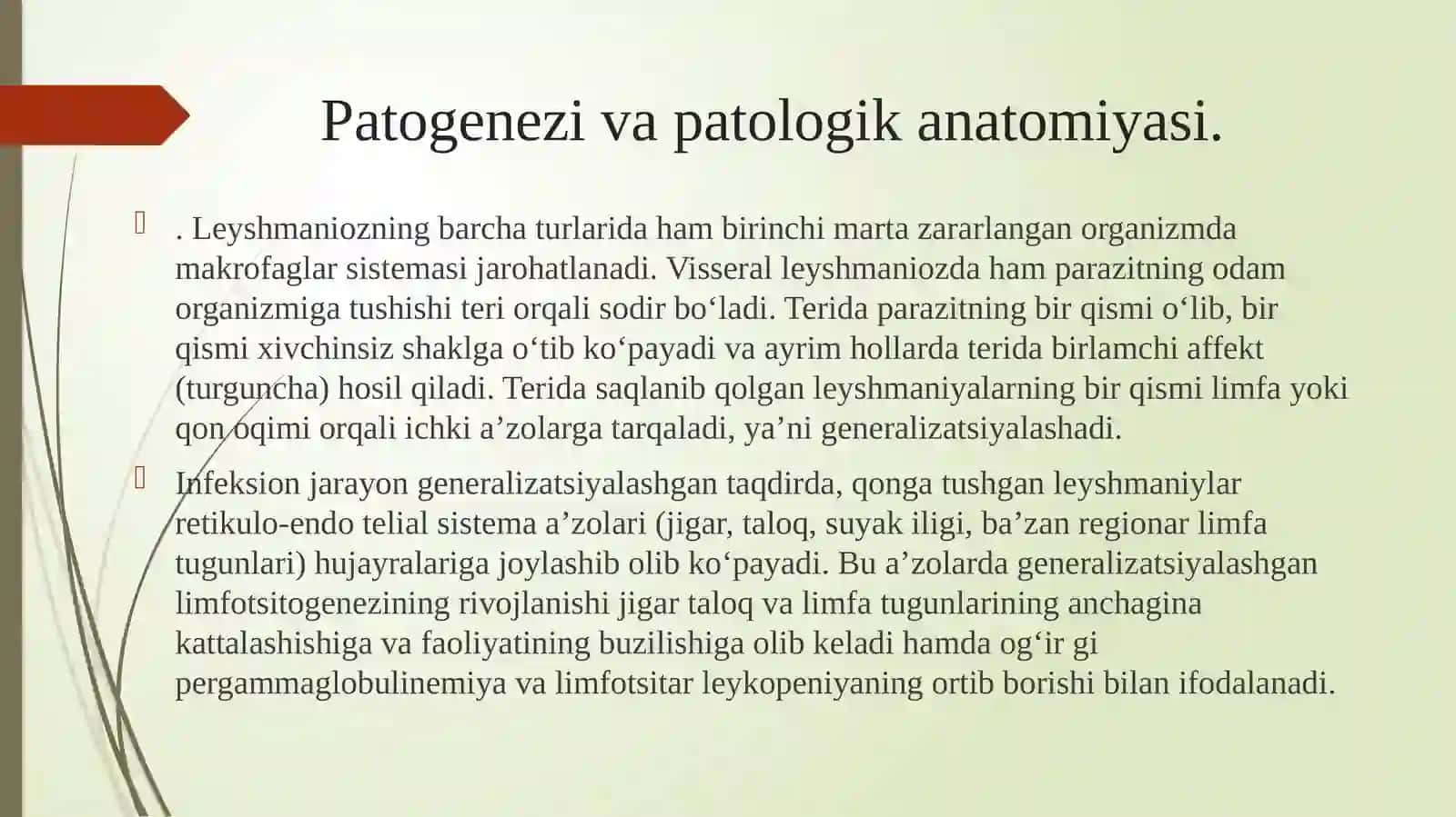 VISSERAL LEYSHMANIOZ 4