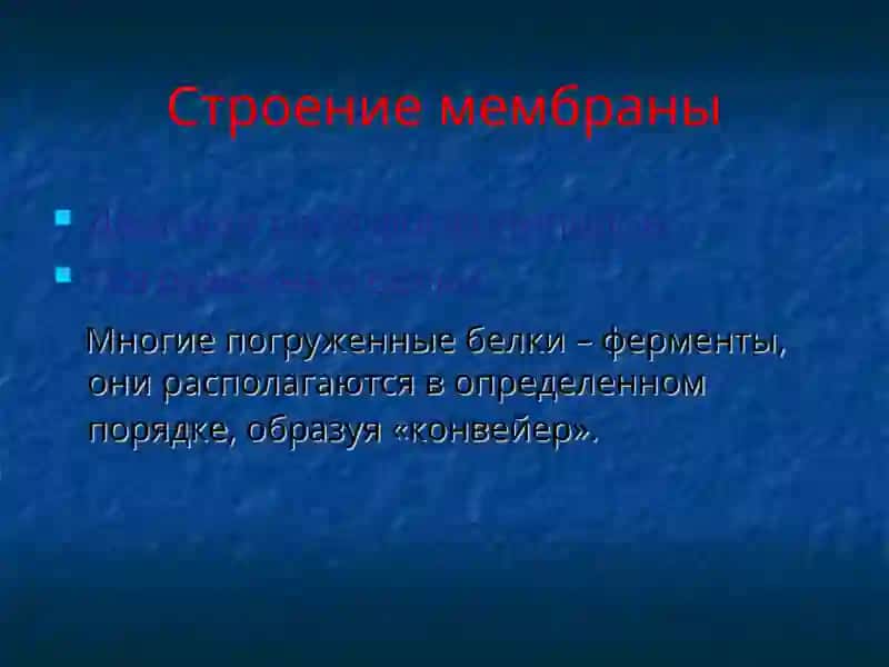 Плазматическая мембрана 4